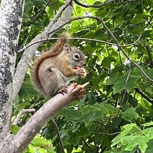 Meet your Posher, Marie